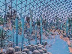 -上海辰山植物园