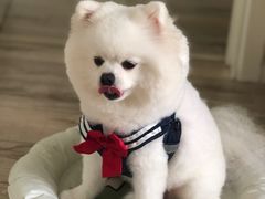 -美迦爱-牙专科·兔科·骨科诊疗中心(北苑店)