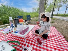 -永定河休闲森林公园