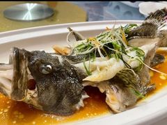 -皇马假日醉海南大酒店·假日一品派茶楼(秀英店)