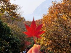-青岛崂山太清宫