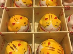 -猫的天空之城概念书店(杭州南宋御街店)