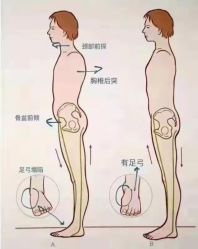 点击看大图 -归位瑜伽&普拉提馆