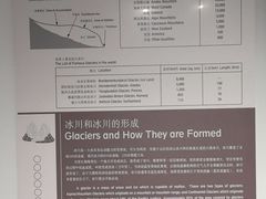 -中国地质博物馆