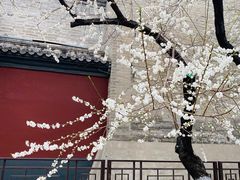 -大海碗·京菜炸酱面(雍和宫店)