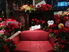 -杂咖zacup(领展中心城店)