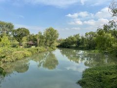 -西溪国家湿地公园