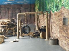-东莞香市动物园