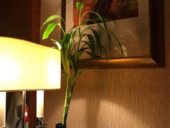 -杭州温德姆至尊豪廷大酒店