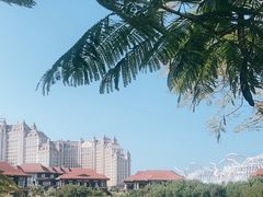 -海花岛旅游度假区