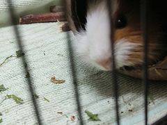 -合肥野生动物园