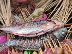 -晓靖轩烧烤(沙河风情店)