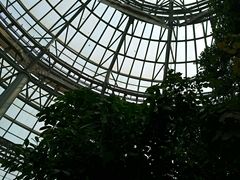-郑州植物园