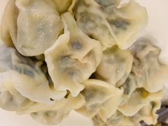 韭菜手切肉水饺-陶然饺子城(奥体中路店)