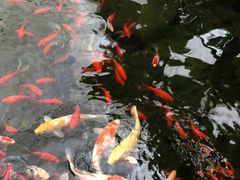 -汤山翠谷生态餐厅