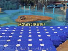 -海合安成都极地海洋公园
