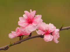 -共青国家森林公园-售票处