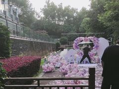 -花锦堂·隐庐