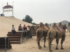 -库伦旗银沙湾旅游景区