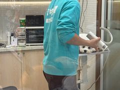 -PET WISH宠物愿望(BFC外滩金融中心店)