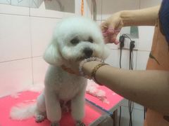 -喵宠乐园·撸猫互动·猫舍