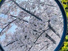 -龙美术馆(西岸馆)