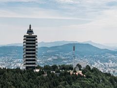 -原山国家森林公园