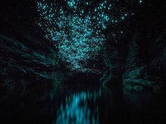 -怀托摩萤火虫洞