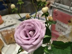 -LE SAPHIR 莎菲尔菓子(和兴店)