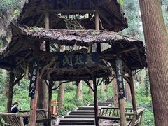 -青城山