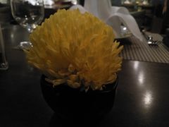 餐具摆设-Ruen Urai