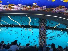 -瑞德姆美人鱼海底演艺主题餐厅(亚龙湾店)