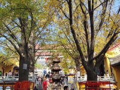 -镇南锅盖面馆(解放路店)