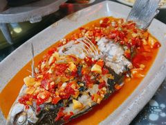 -张关合渣(航空大道店)