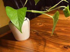 -秀·爱尔兰餐吧(上海路店)