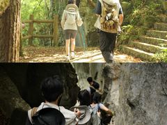 -百色大石围天坑群