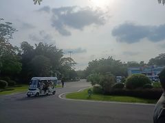 -森波拉奇妙世界