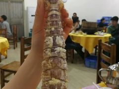 -蚝专家(北滘店)