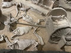 -洛阳周王城天子驾六博物馆