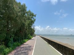 -北海金海湾红树林生态旅游区