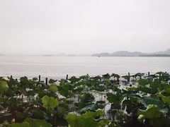 -湖畔居茶楼(湖滨店)