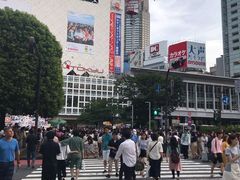 -涩谷区