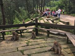 -重庆雨台山风景区