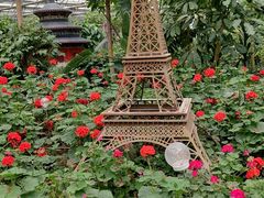 -南宫五洲植物乐园