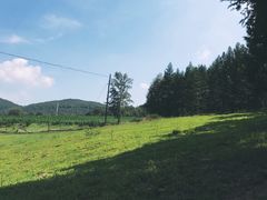 -塞罕坝国家级自然保护区