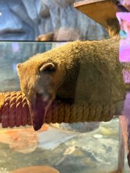 -Zoolung Zoolung动物主题公园(海信广场店)