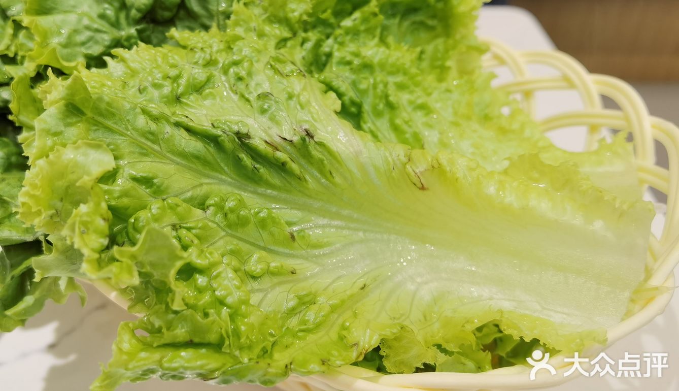 快有半年没出来吃烤肉了