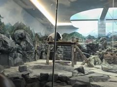 -武汉动物园