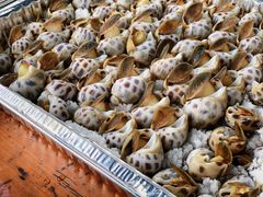 -楠溪江风景名胜区