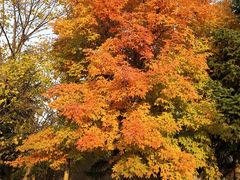 -长春世界雕塑园冰雪艺术天地
